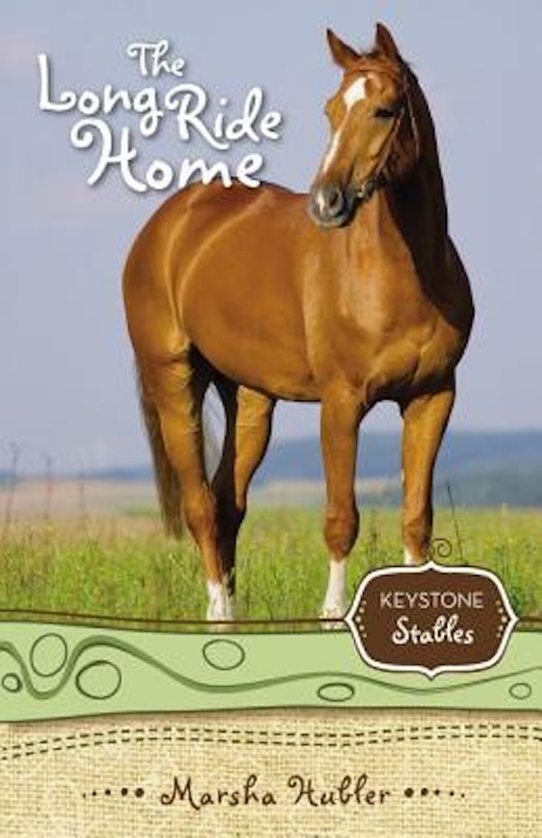 Cover image for The Long Ride Home, isbn: 9780310716921