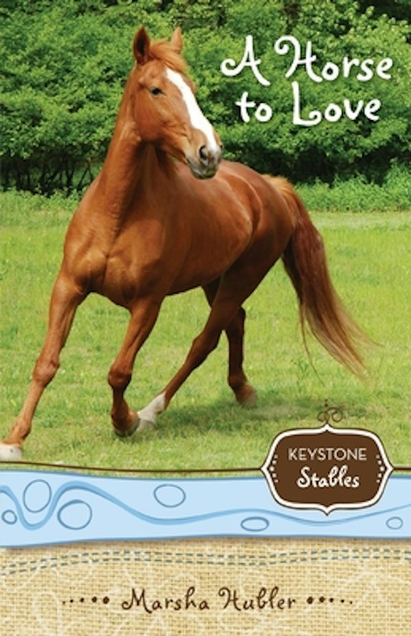 Cover image for A Horse to Love, isbn: 9780310717928