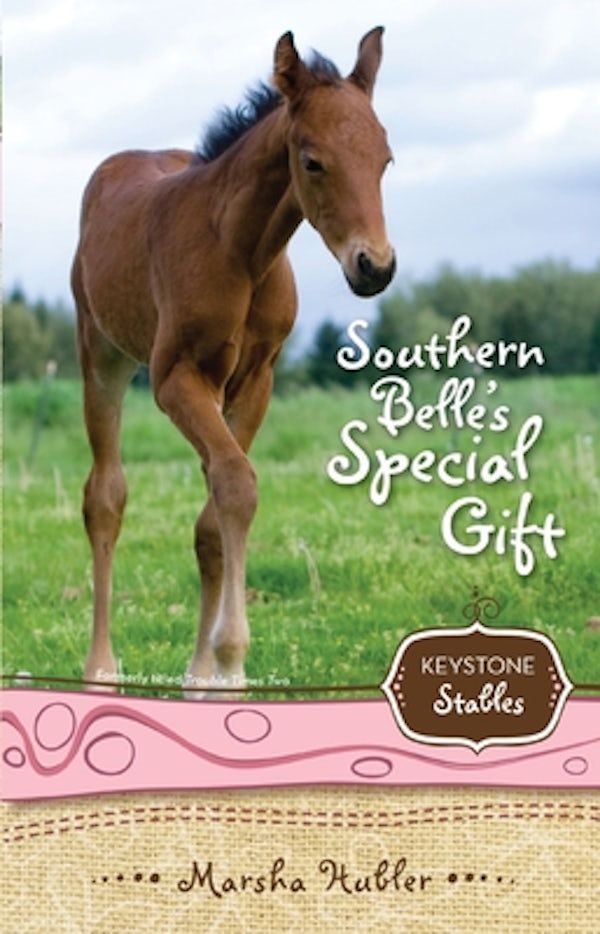 Cover image for Southern Belle's Special Gift, isbn: 9780310717942