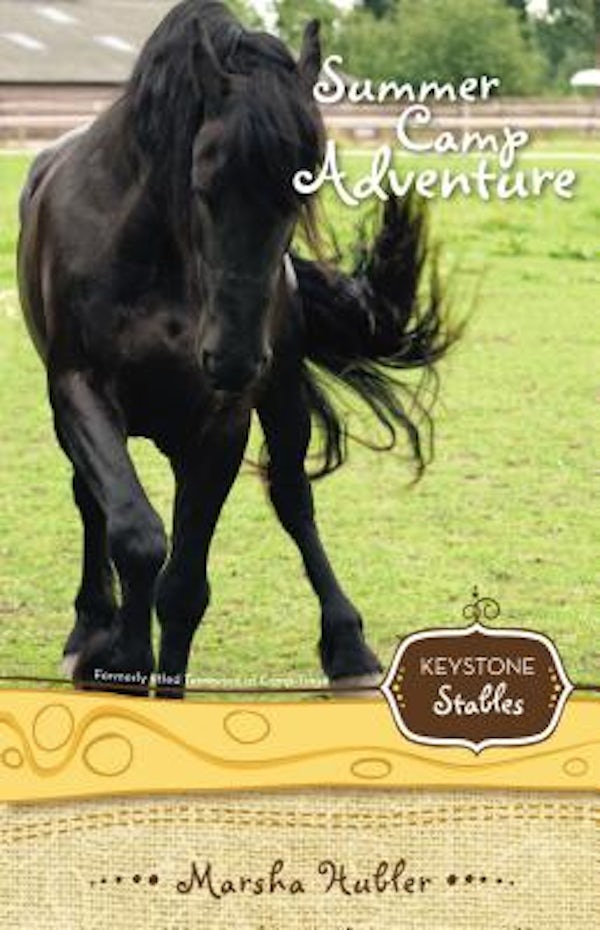 Cover image for Summer Camp Adventure, isbn: 9780310717959