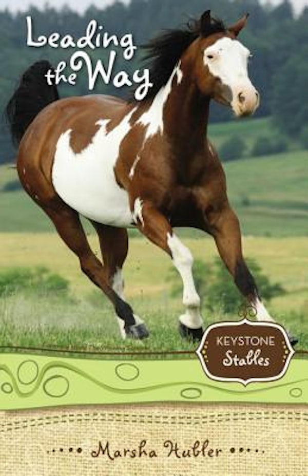 Cover image for Leading the Way, isbn: 9780310717966