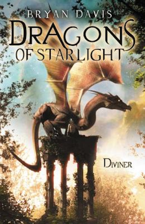 Cover image for The Diviner, isbn: 9780310718383