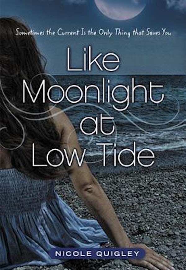 Cover image for Like Moonlight at Low Tide, isbn: 9780310723608