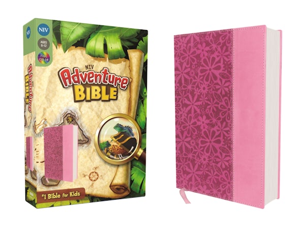 Cover image for Adventure Bible, NIV, isbn: 9780310727514