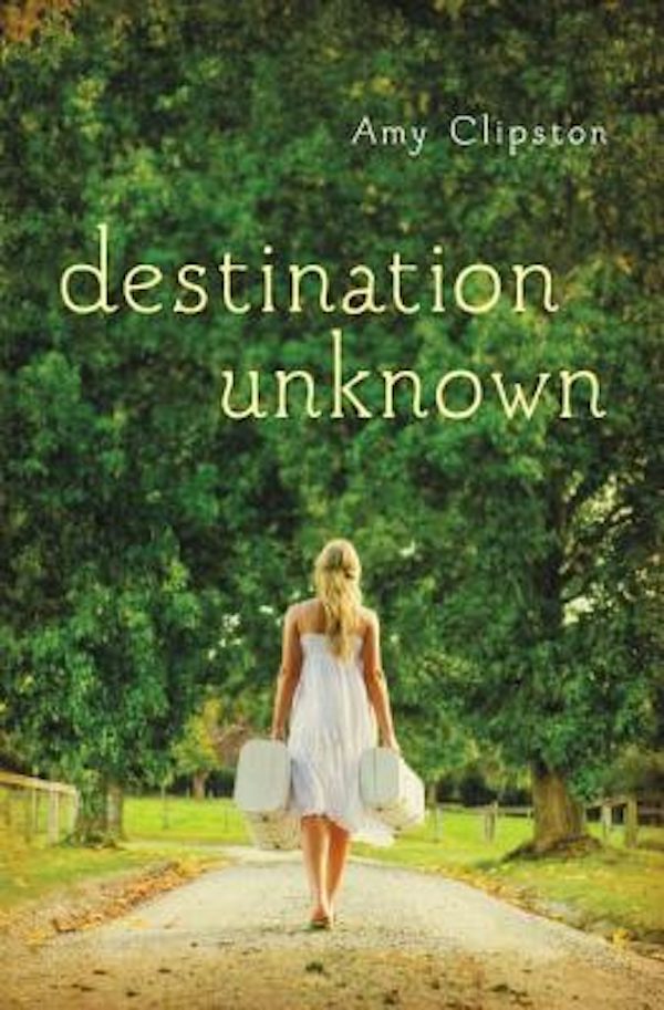 Cover image for The Destination Unknown, isbn: 9780310736691