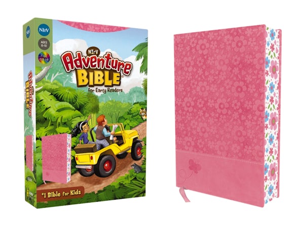Cover image for Adventure Bible for Early Readers-NIRV, isbn: 9780310745204