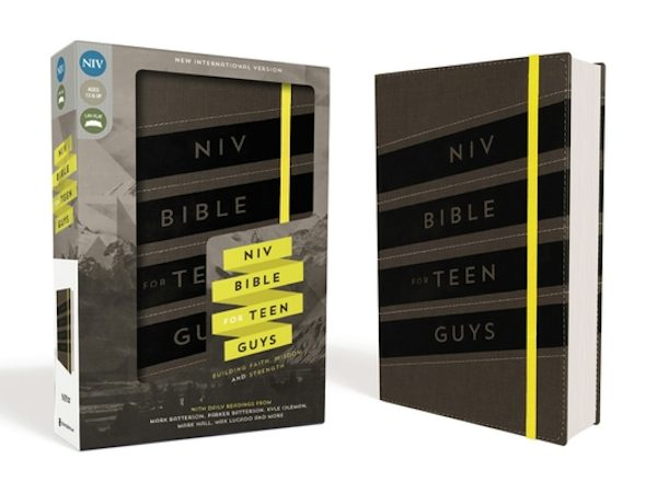 Cover image for NIV, Bible for Teen Guys, Leathersoft, Charcoal, Elastic Closure, isbn: 9780310753025