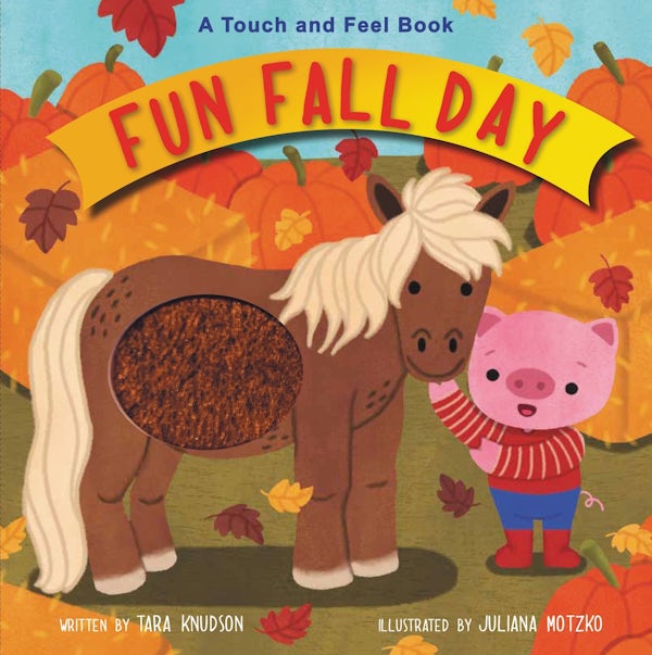 Cover image for Fun Fall Day, isbn: 9780310770213