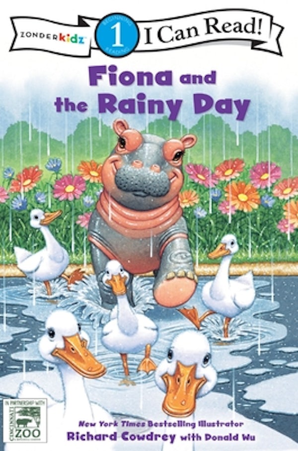 Cover image for Fiona and the Rainy Day, isbn: 9780310771036