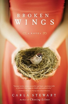 Cover image for Broken Wings, isbn: 9780446556569