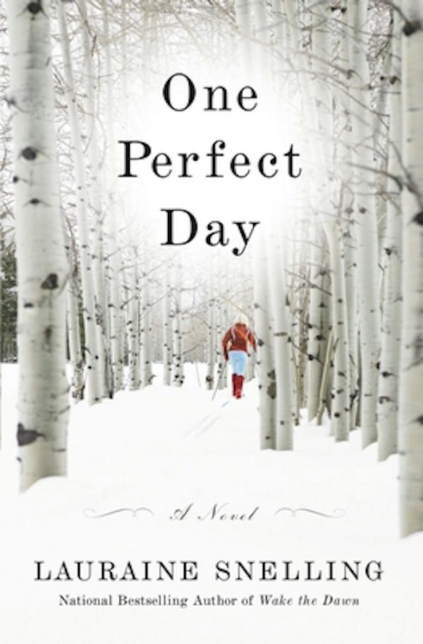 Cover image for One Perfect Day, isbn: 9780446582100