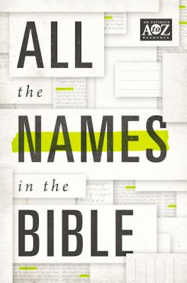Cover image for All the Names in the Bible, isbn: 9780529106506