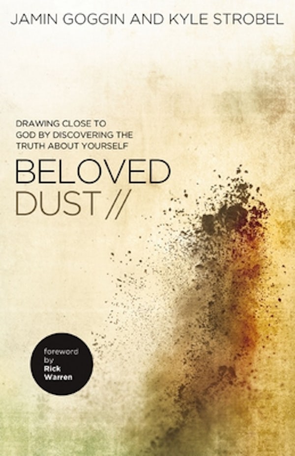 Cover image for The Beloved Dust, isbn: 9780529110206