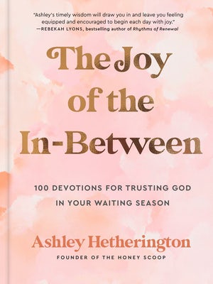 Cover image for The Joy of the In-Between, isbn: 9780593600696