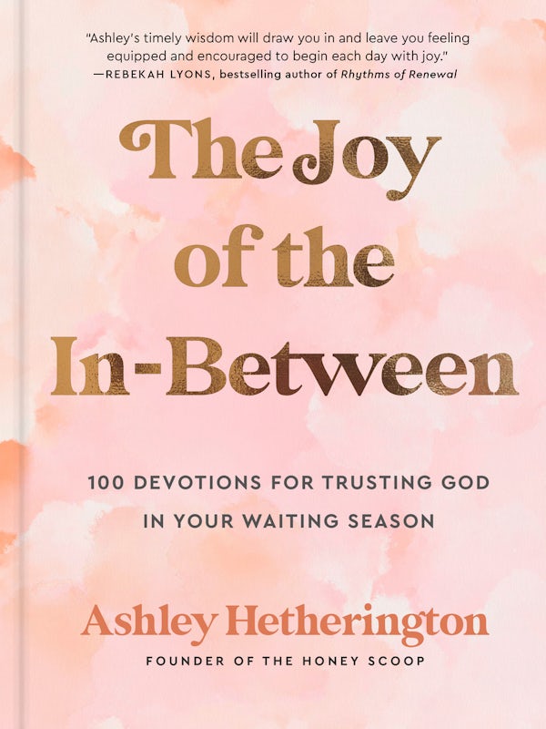 Cover image for The Joy of the In-Between, isbn: 9780593600696