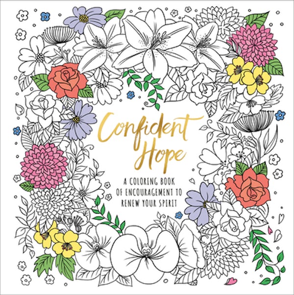 Cover image for Confident Hope, isbn: 9780593603499