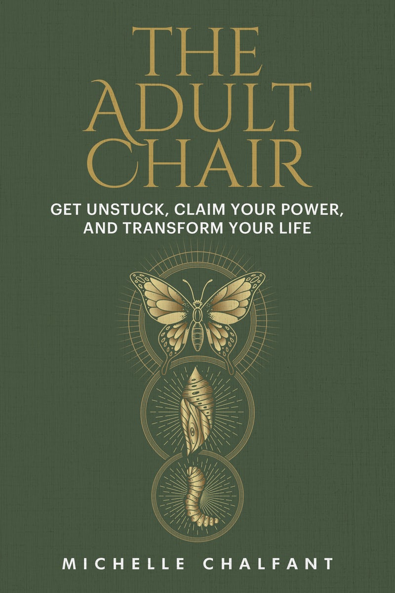 Cover image for The Adult Chair, isbn: 9780593735336
