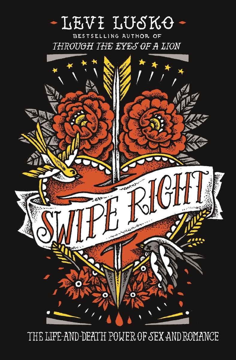 Cover image for Swipe Right, isbn: 9780718032159