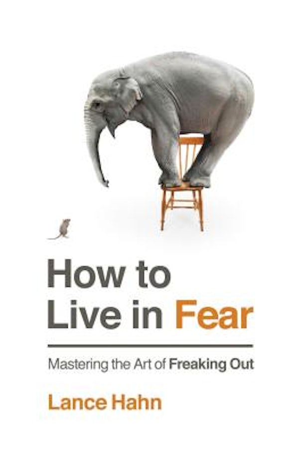Cover image for How to Live in Fear, isbn: 9780718035426