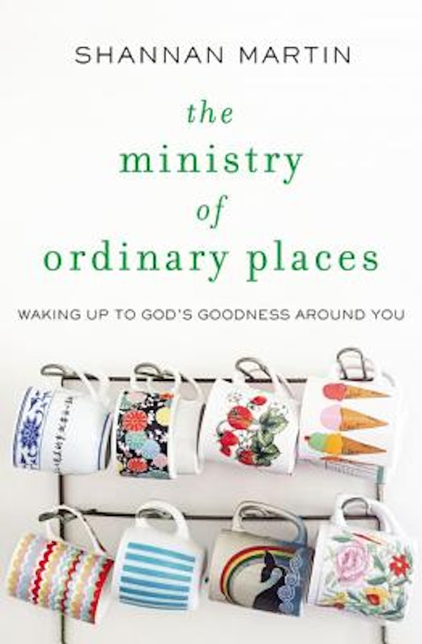 Cover image for The Ministry of Ordinary Places, isbn: 9780718077488