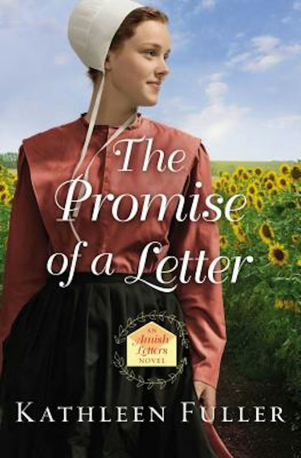 Cover image for The Promise of a Letter, isbn: 9780718082543