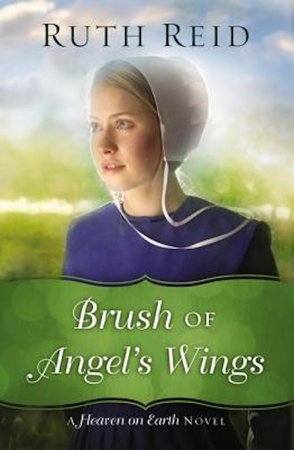 Cover image for Brush of Angel's Wings, isbn: 9780718084271