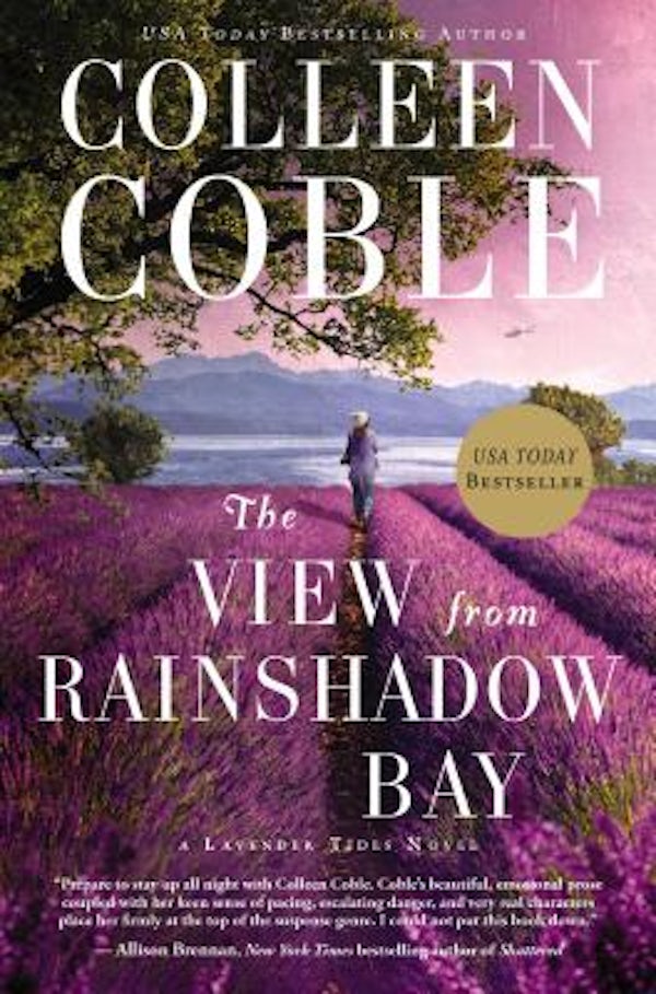 Cover image for The View from Rainshadow Bay, isbn: 9780718085766