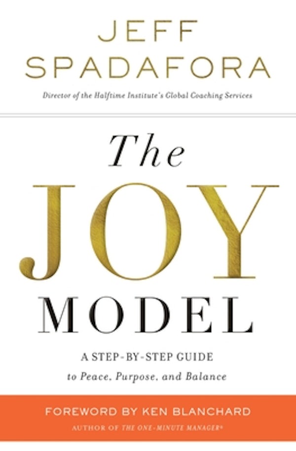 Cover image for The Joy Model, isbn: 9780718091514