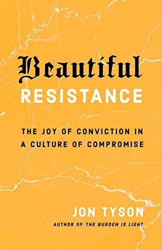 Cover image for Beautiful Resistance, isbn: 9780735290693