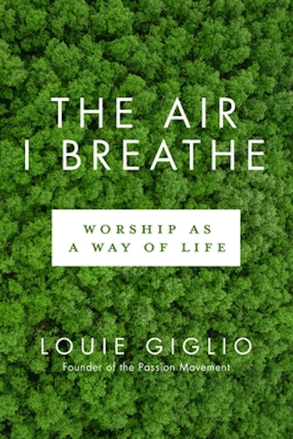 Cover image for The Air I Breathe, isbn: 9780735290716