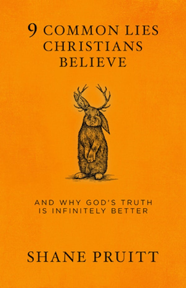 Cover image for 9 Common Lies Christians Believe, isbn: 9780735291577