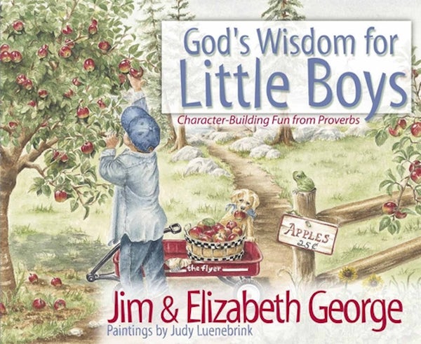 Cover image for God's Wisdom for Little Boys, isbn: 9780736908245