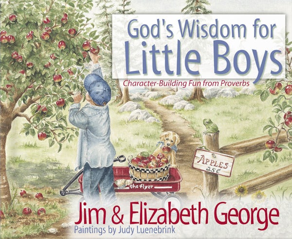 Cover image for God's Wisdom for Little Boys, isbn: 9780736908245