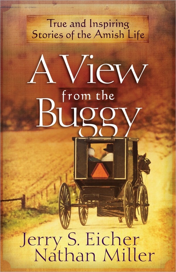 Cover image for A View from the Buggy, isbn: 9780736956864