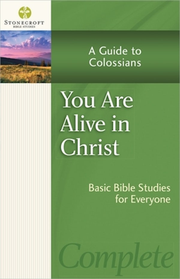 Cover image for You Are Alive in Christ, isbn: 9780736958332