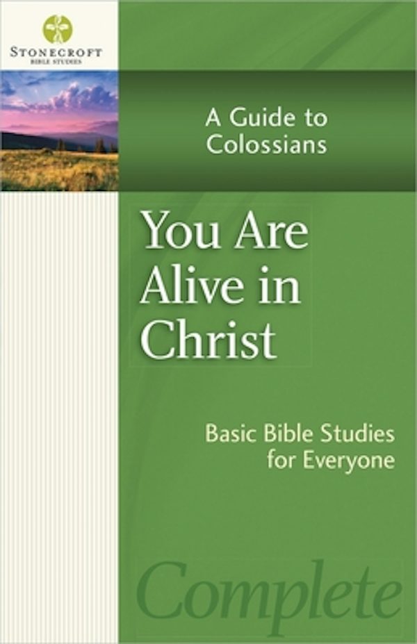 Cover image for You Are Alive in Christ, isbn: 9780736958332