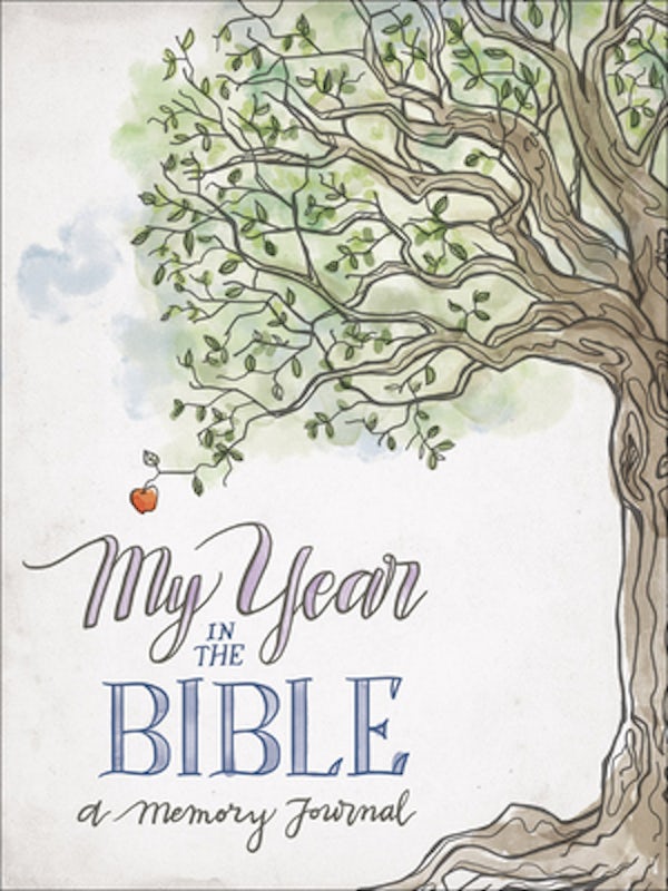 Cover image for My Year in the Bible, isbn: 9780736971096