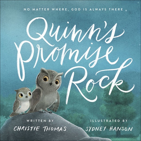 Cover image for Quinn's Promise Rock, isbn: 9780736974325