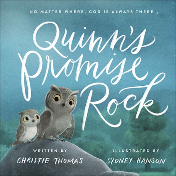 Cover image for Quinn's Promise Rock, isbn: 9780736974325