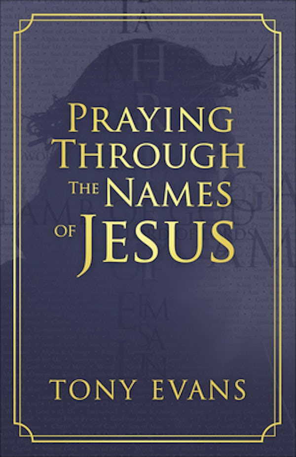 Cover image for Praying Through the Names of Jesus, isbn: 9780736975308