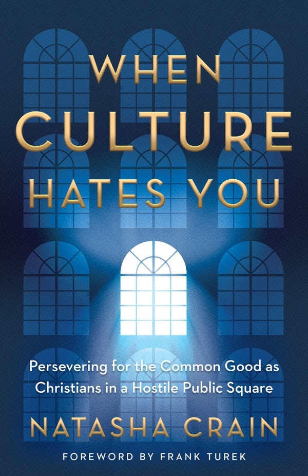 Cover image for When Culture Hates You, isbn: 9780736984317