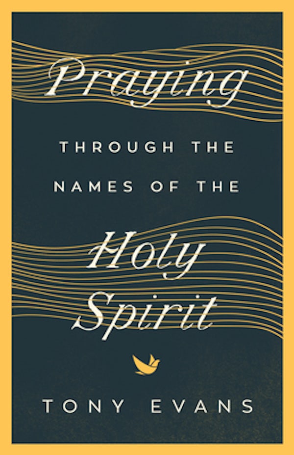 Cover image for Praying Through the Names of the Holy Spirit, isbn: 9780736984492