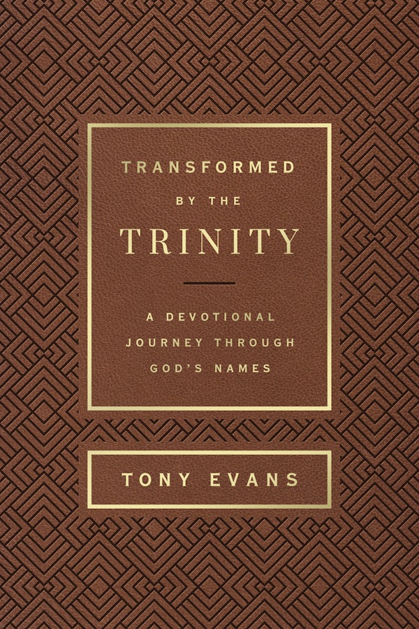 Cover image for Transformed by the Trinity (Milano Softone), isbn: 9780736985055