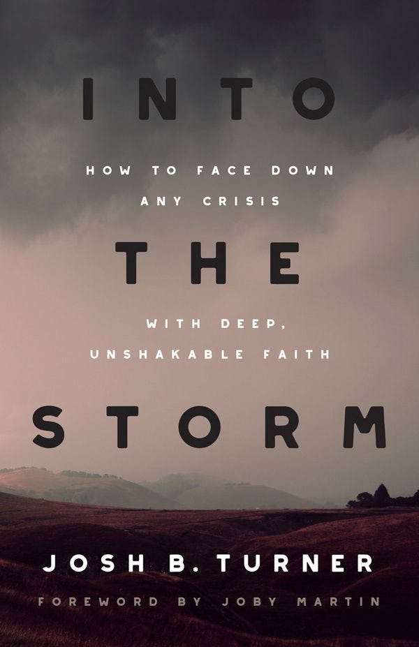 Cover image for Into the Storm, isbn: 9780736987745