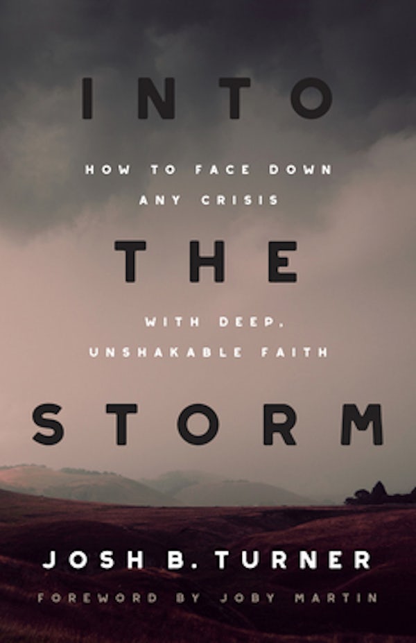Cover image for Into the Storm, isbn: 9780736987745