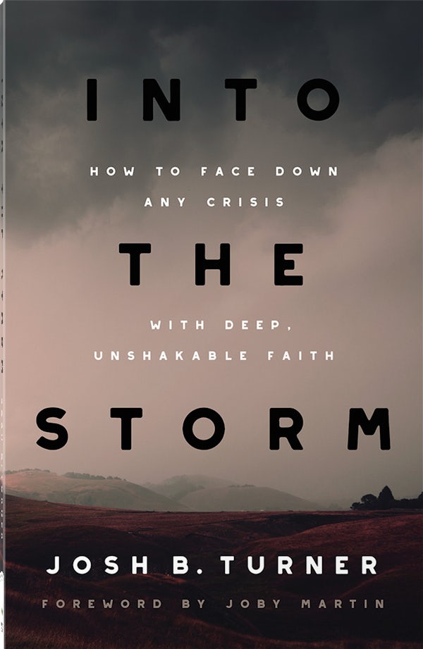 Cover image for Into the Storm, isbn: 9780736987745