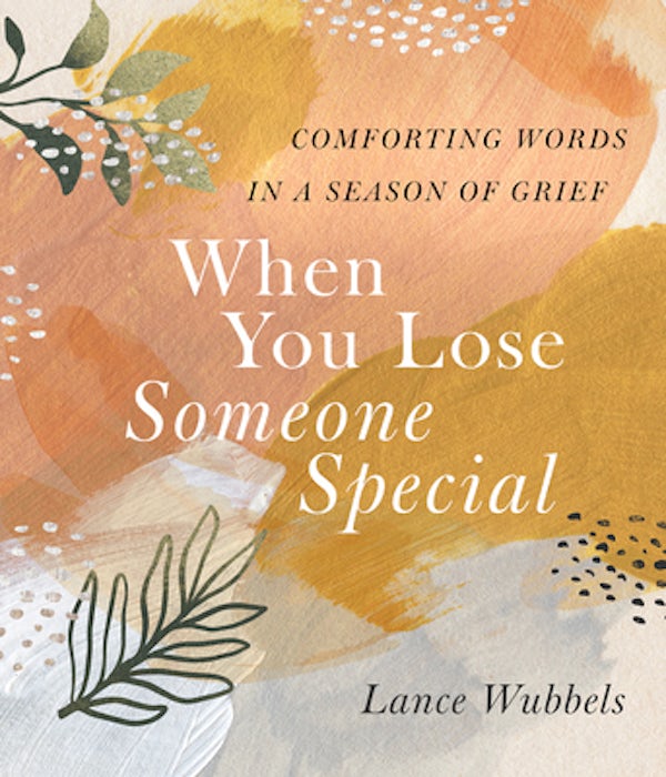 Cover image for When You Lose Someone Special, isbn: 9780736991544