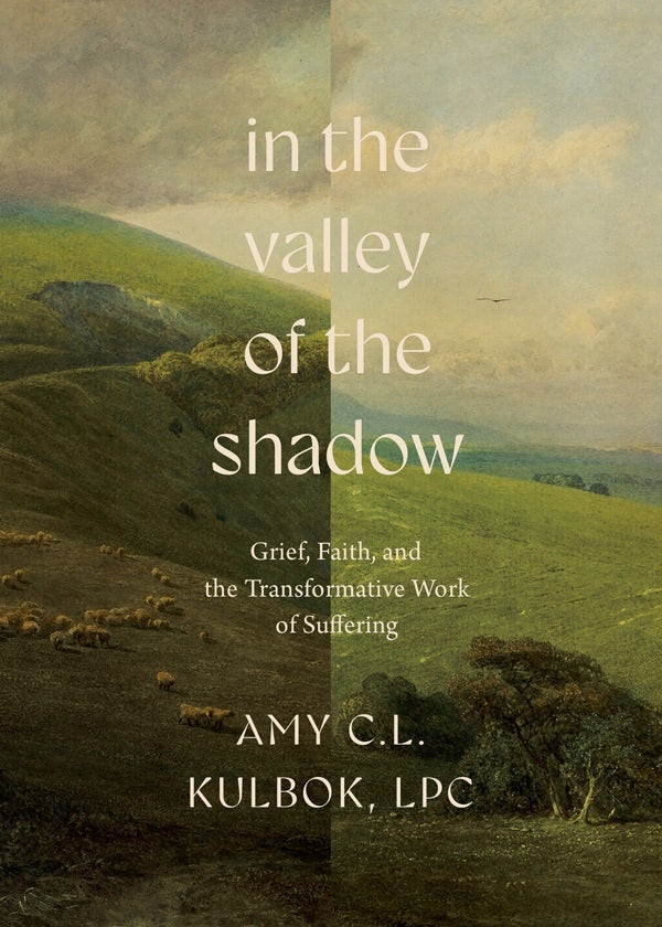 Cover image for In the Valley of the Shadow, isbn: 9780736992473