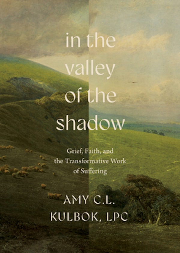 Cover image for In the Valley of the Shadow, isbn: 9780736992473