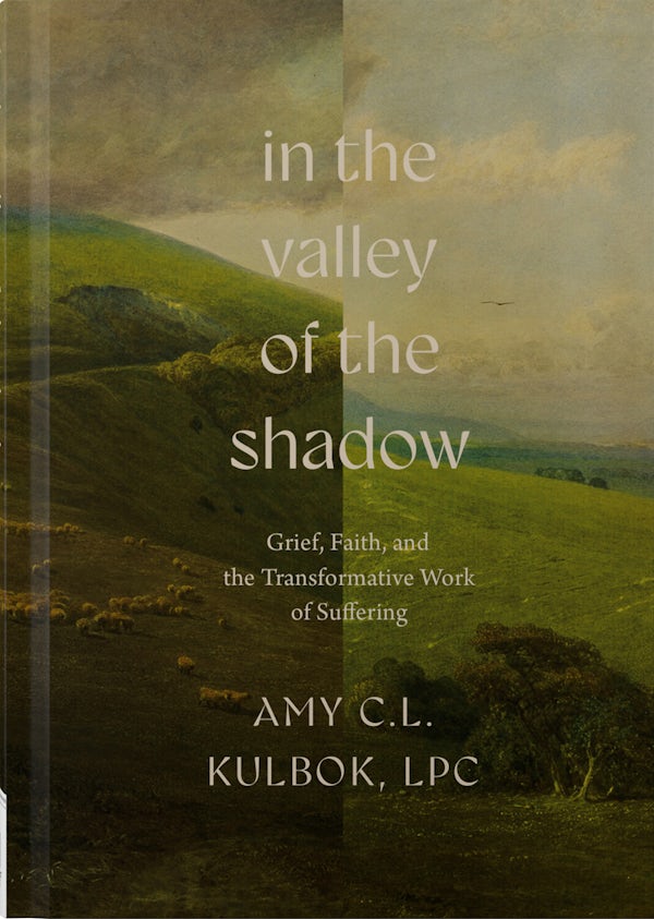 Cover image for In the Valley of the Shadow, isbn: 9780736992473